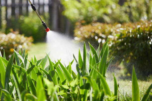 24/7 Emergency Wasp Removal experts in Lexington, SC
