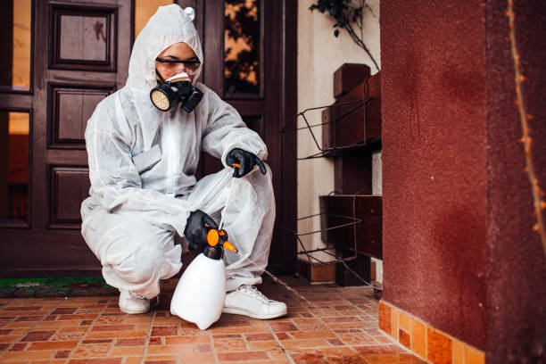 Reliable Wasp Removal contractor in Lexington, SC by Show Me Pest Control